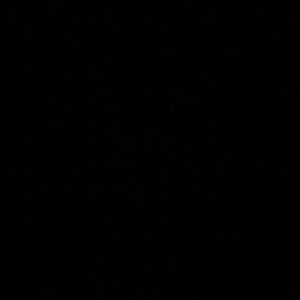 Meet your Posher, Jaden